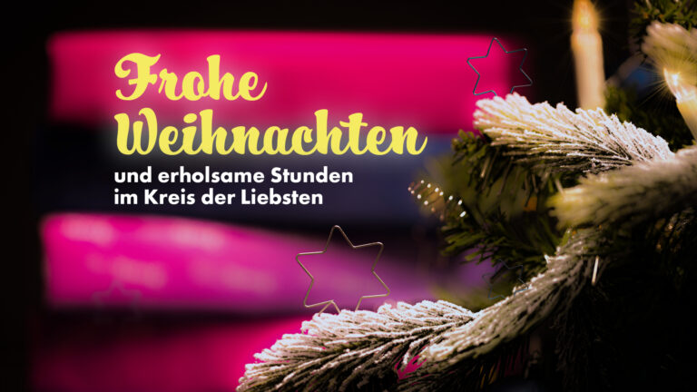 Frohe Weihnachtsgrüße der CEFEG